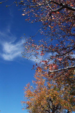 dcp_0857.jpg