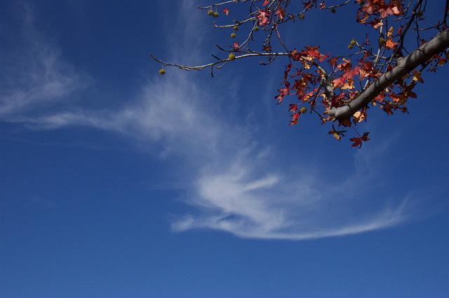 dcp_0860.jpg