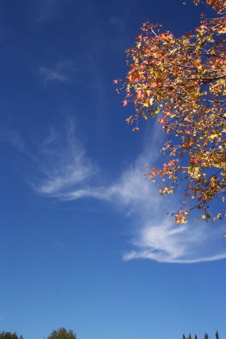 dcp_0864.jpg