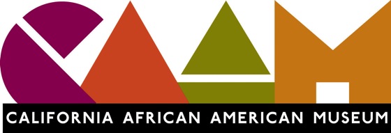 Caam logo