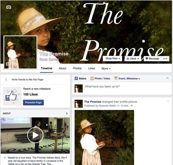 Promise facebook